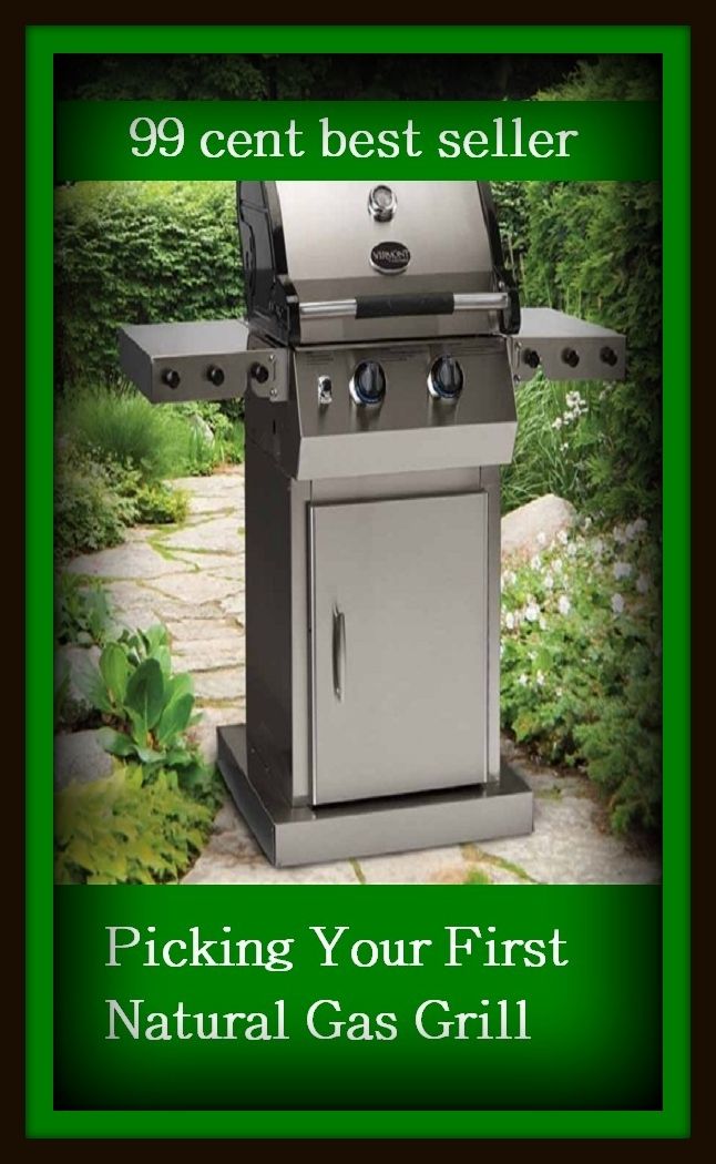99 Cent Best Seller Picking Your First Natural Gas Grill, (barbecue, roast, sear, burn, cook, rotisserie, charcoal-broil, cook over an open , pit, picnic)