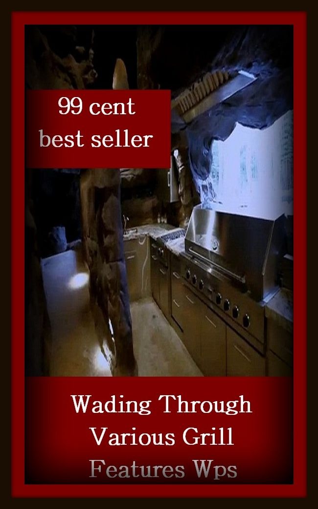 99 Cent Best Seller	Wading Through Various Grill Features Wps, (- barbecue, roast, sear, burn, cook, rotisserie, charcoal-broil, cook over an open , pit, picnic)