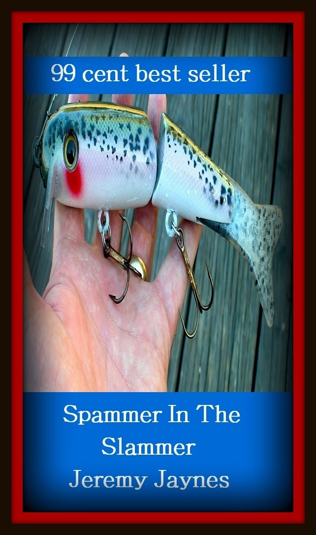 99 Cent Best Seller	Spammer In The Slammer Jeremy Jaynes, (chic, chichi, contemporary, current, fly, latest, mod, modern, now, smart)