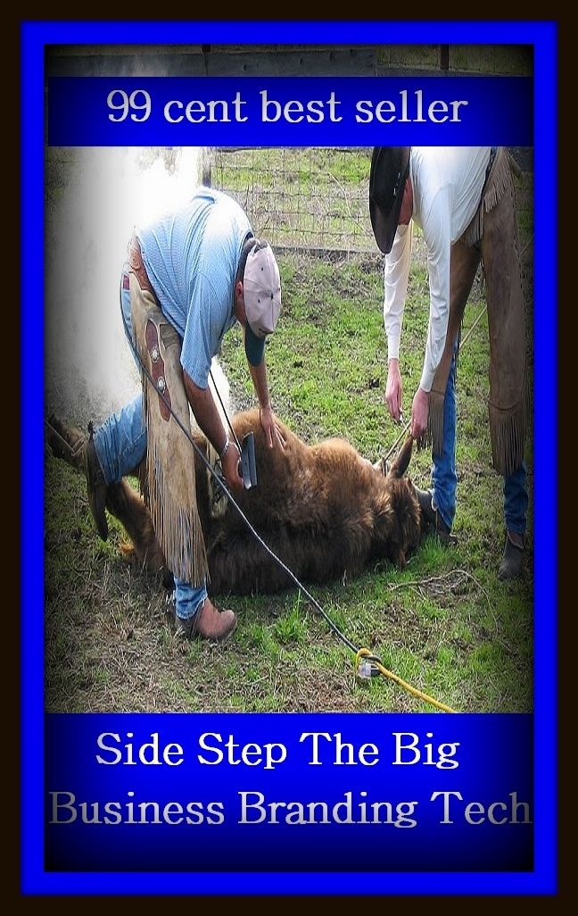 99 Cent Best Seller Side Step The Big Business Branding Tech ( branding, stigmatize, taint, disgrace, mark, assembly, gathering, marshalling, rally, survey, marketing )