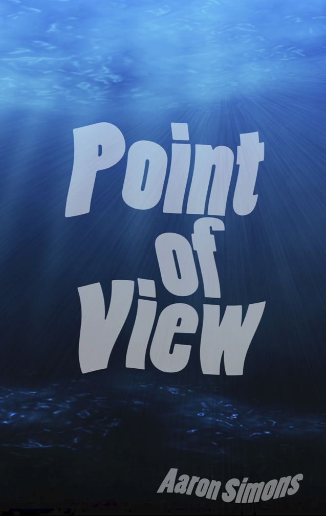 Point Of View