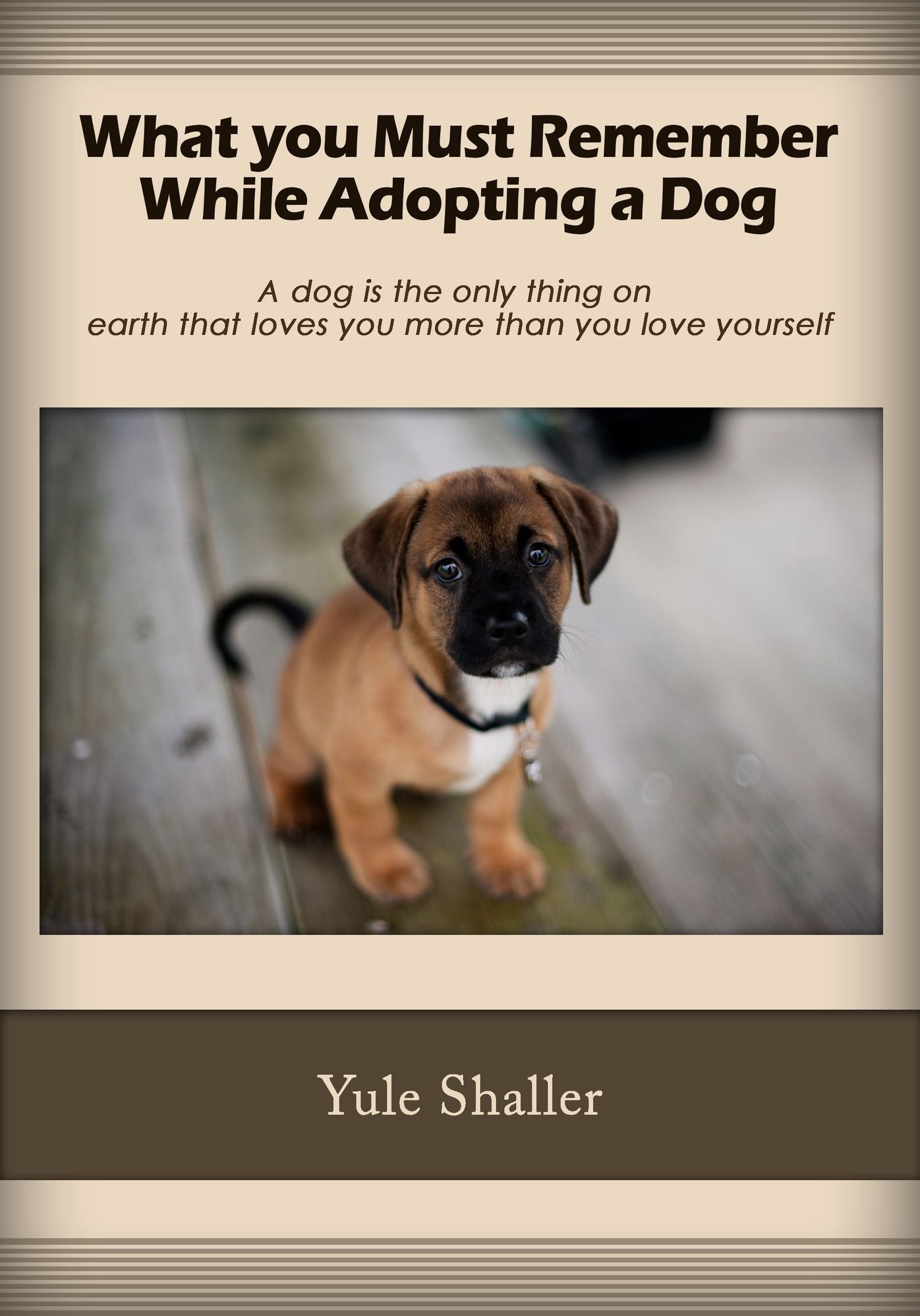 What You Must Remember While Adopting a Pet Dog