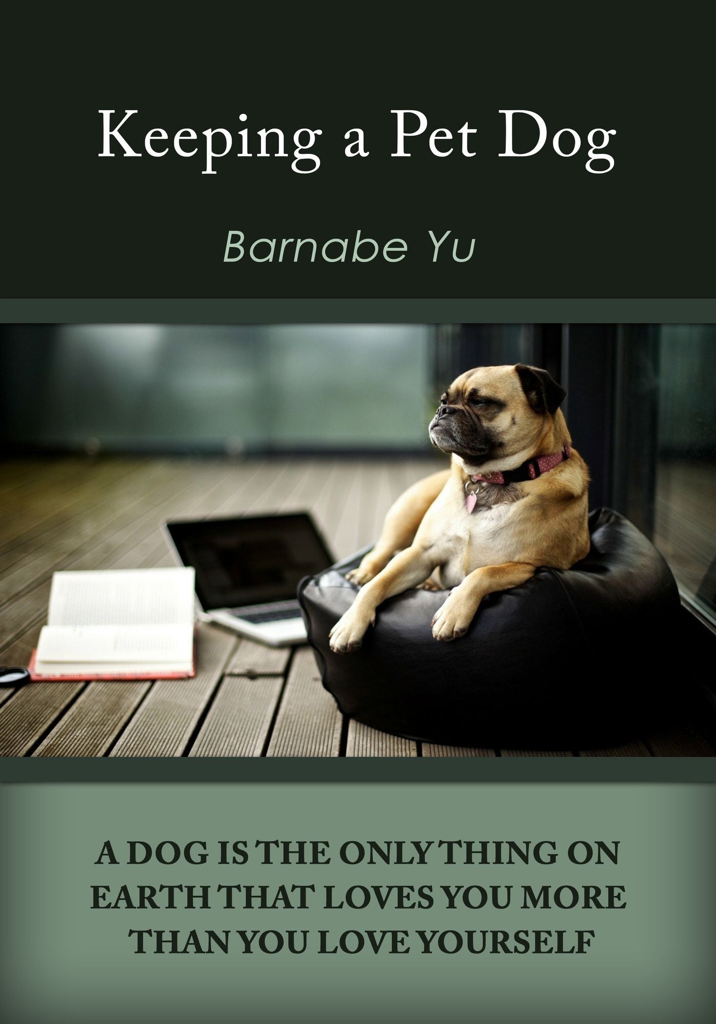 Keeping a pet dog