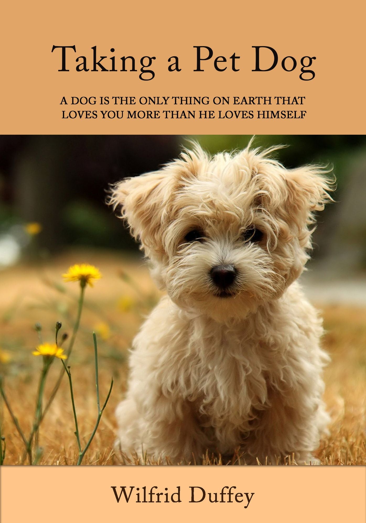 Taking a pet dog