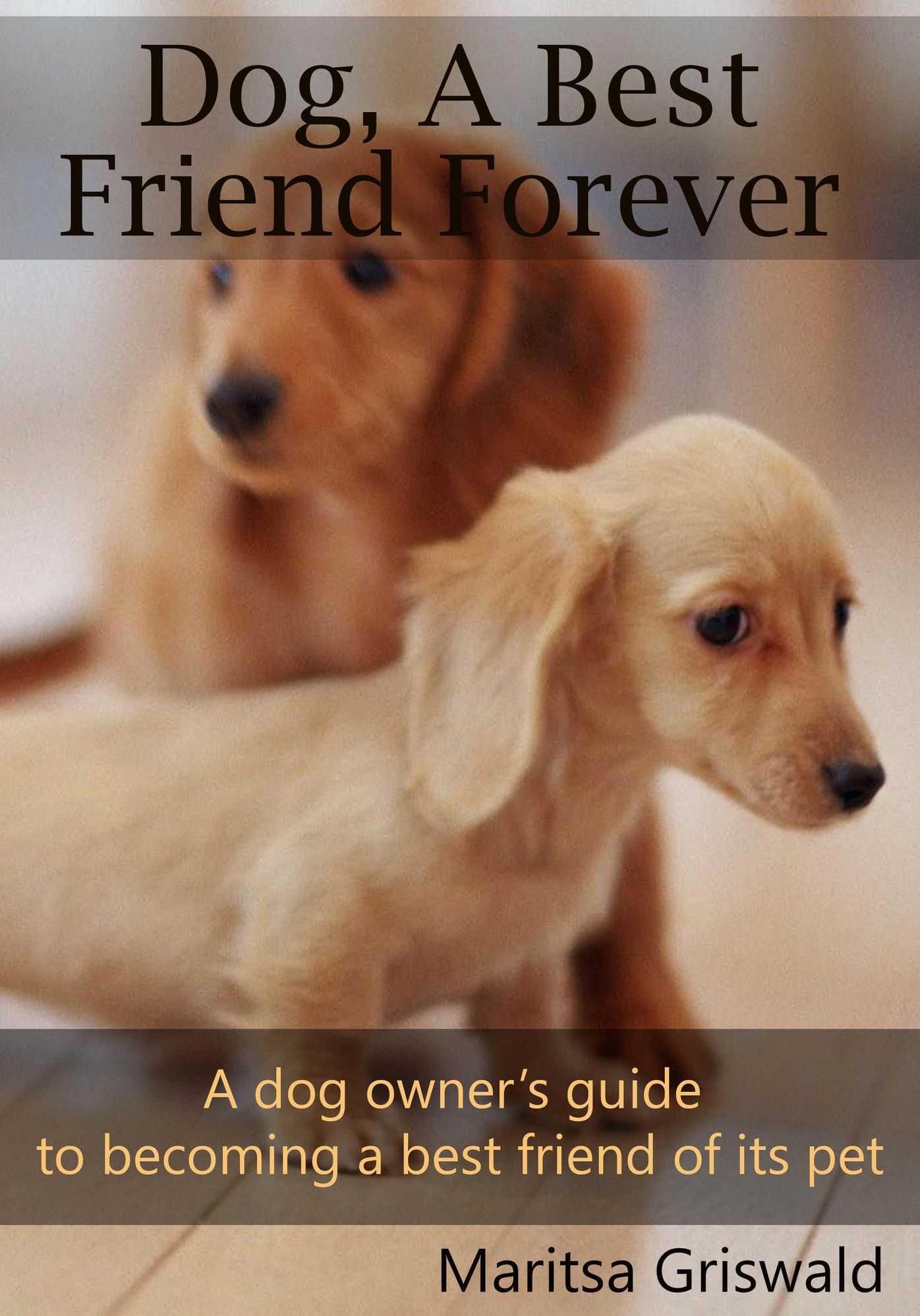 Dog, A Best Friend Forever