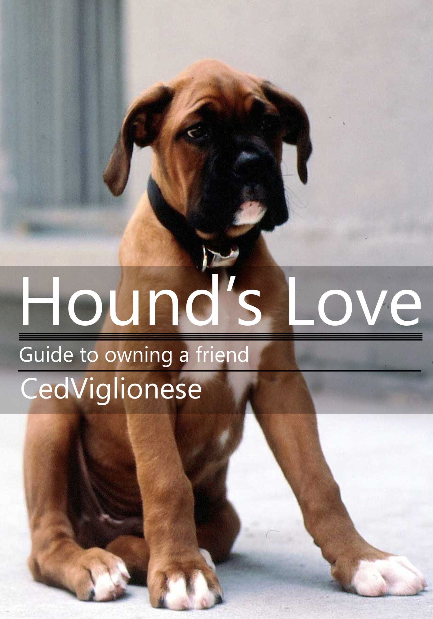 HoundZ7À