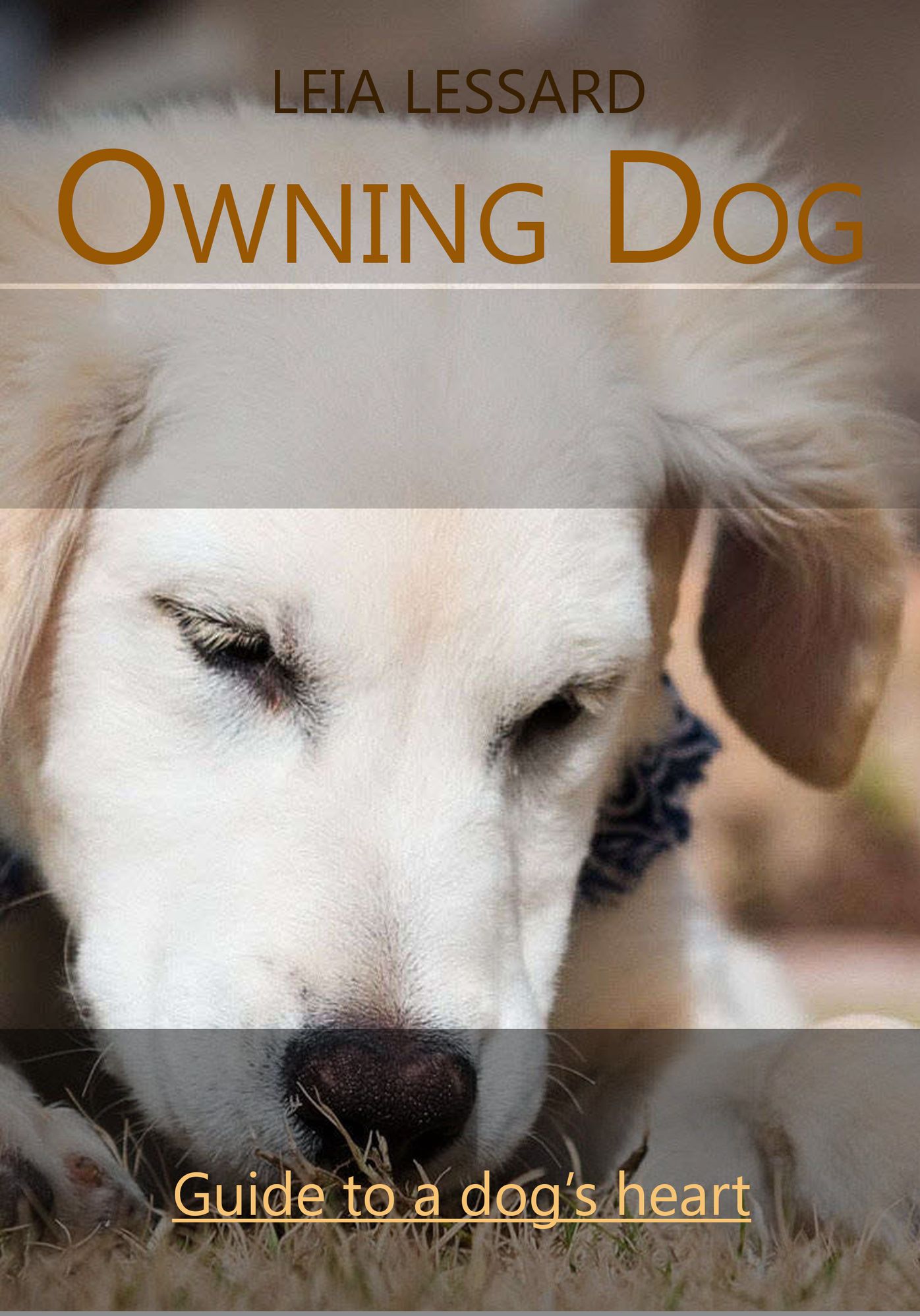 Owning Dog