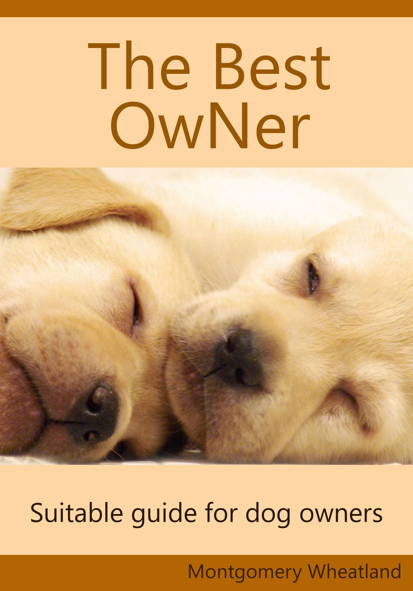 The Best Owner