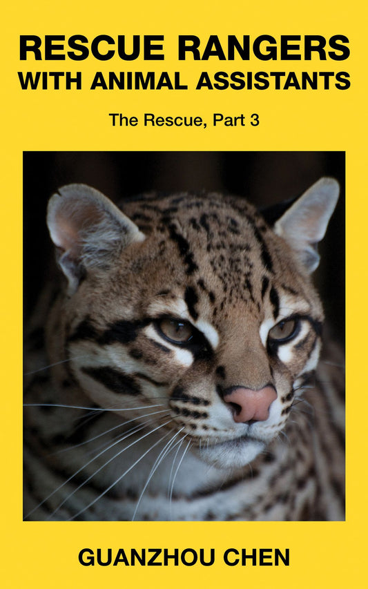 Rescue Rangers with Animal Assistants; The Rescue, Part 3