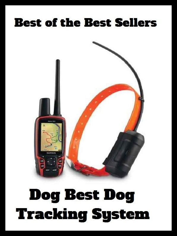Best of the Best Sellers Dog Best Dog Tracking System (follow, trail, trace, pursue, shadow, stalk, keep an eye on, keep in sight, tail,path, pathway, footpath)