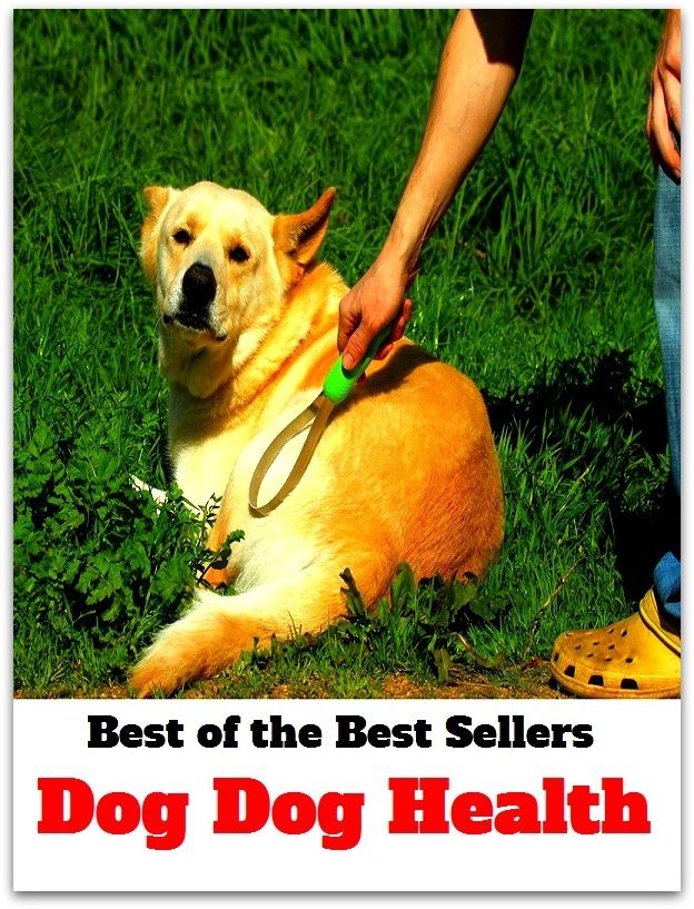 Best of the Best Sellers Dog Dog Health ( Health, well-being, healthiness, fitness, good condition, good shape, fine fettle, strength, vigor, wellness)