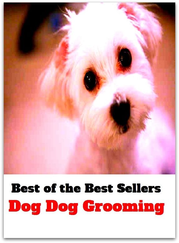 Best of the Best Sellers Dog Dog Grooming ( preparation, training, teaching, coaching, tuition, tutoring, guidance, education, orientation, Grooming )