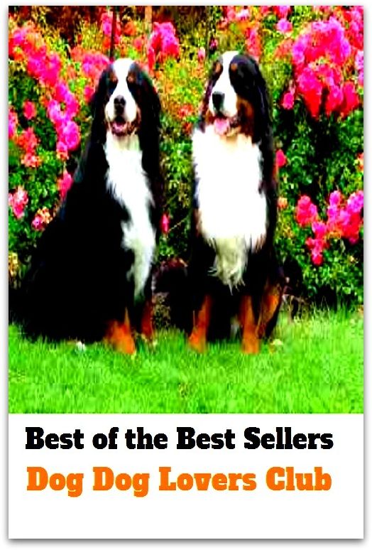 Best of the Best Sellers Dog Dog Lovers Club ( boyfriend, girlfriend, beloved, love, darling, sweetheart, inamorata, inamorato, mistress, paramour, partneroo, concubine)