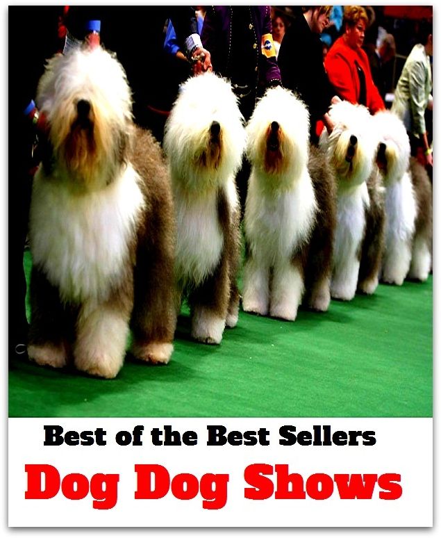 Best of the Best Sellers Dog Dog Shows ( Show, display, array, exhibition, presentation, exposition, spectacle, be visible, be seen, be in view, be obvious)
