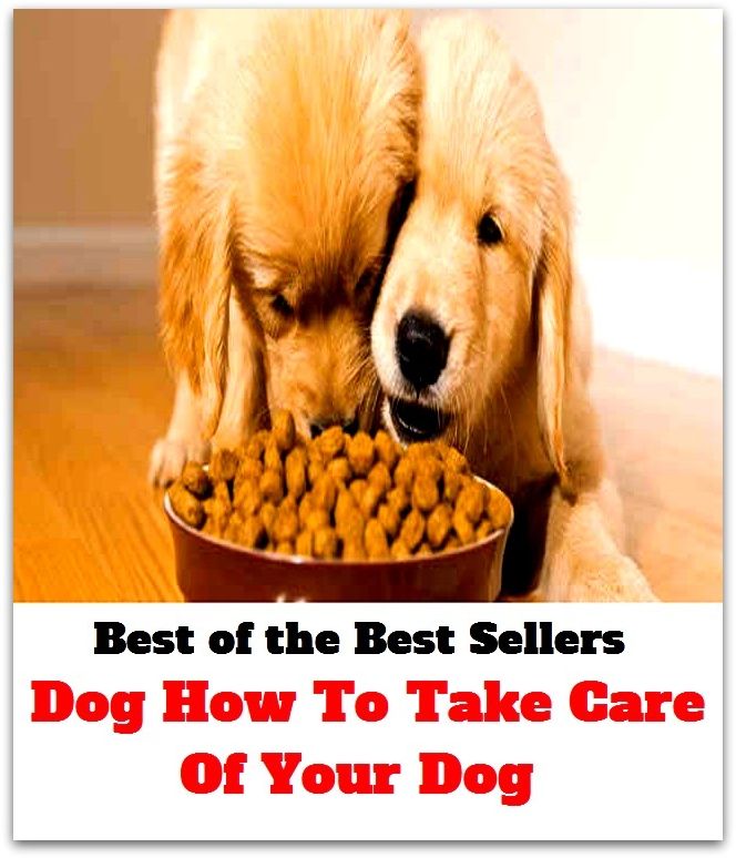 Best of the Best Sellers Dog How To Take Care Of Your Dog ( safekeeping, supervision, custody, charge, protection, control, responsibility, guardianship, wardship; help, aid, assistance, succor, support)