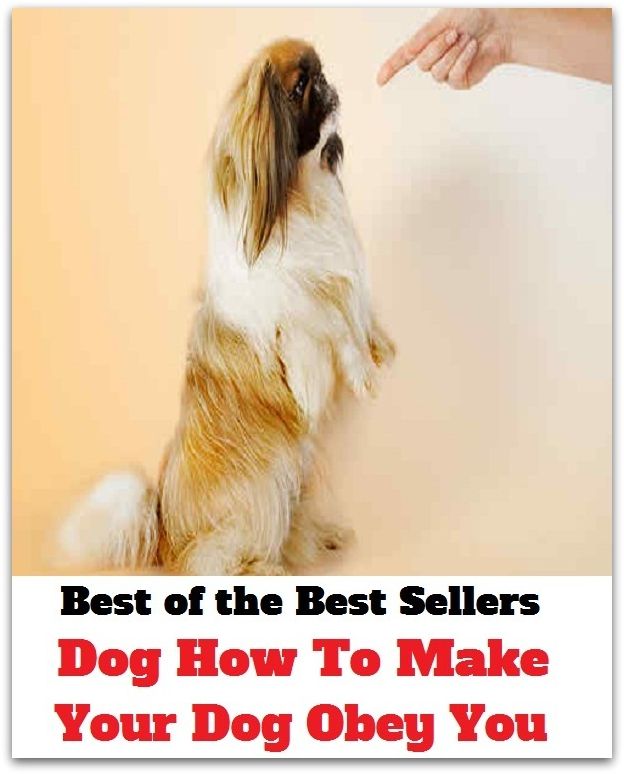 Best of the Best Sellers Dog How To Make Your Dog Obey You ( submit to, defer to, bow to, yield to, give in to, comply with, adhere to, observe, abide by, act in accordance with, conform to, respect)