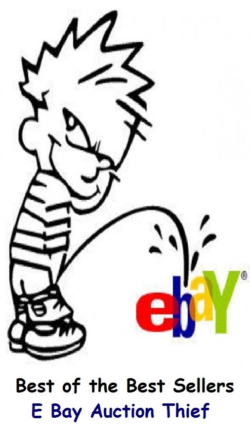 Best of the Best Sellers	E Bay Auction Thief	 ( auction, market,pilferer, thief, plunderer, looter, robber, abductor )