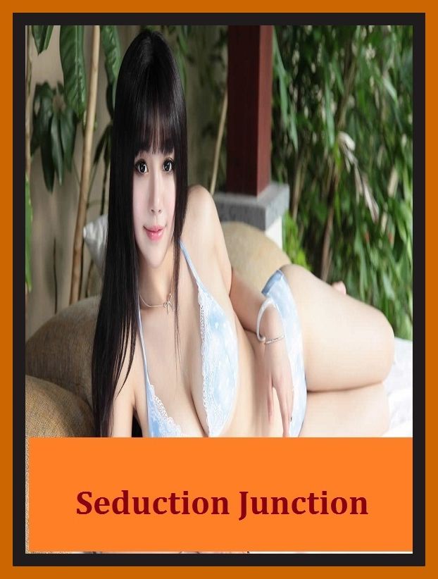 Erotic Romance: So Many Choices Seduction Junction ( Erotic Photography, Erotic Stories, Nude Photos, Naked , Adult Nudes, Breast, Domination, Bare Ass, Lesbian, She-male)