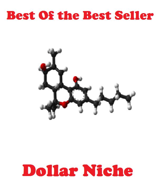 Best of the Best Sellers	Dollar Niche ( dollar, greenback,plunk, niche, bay, nook )