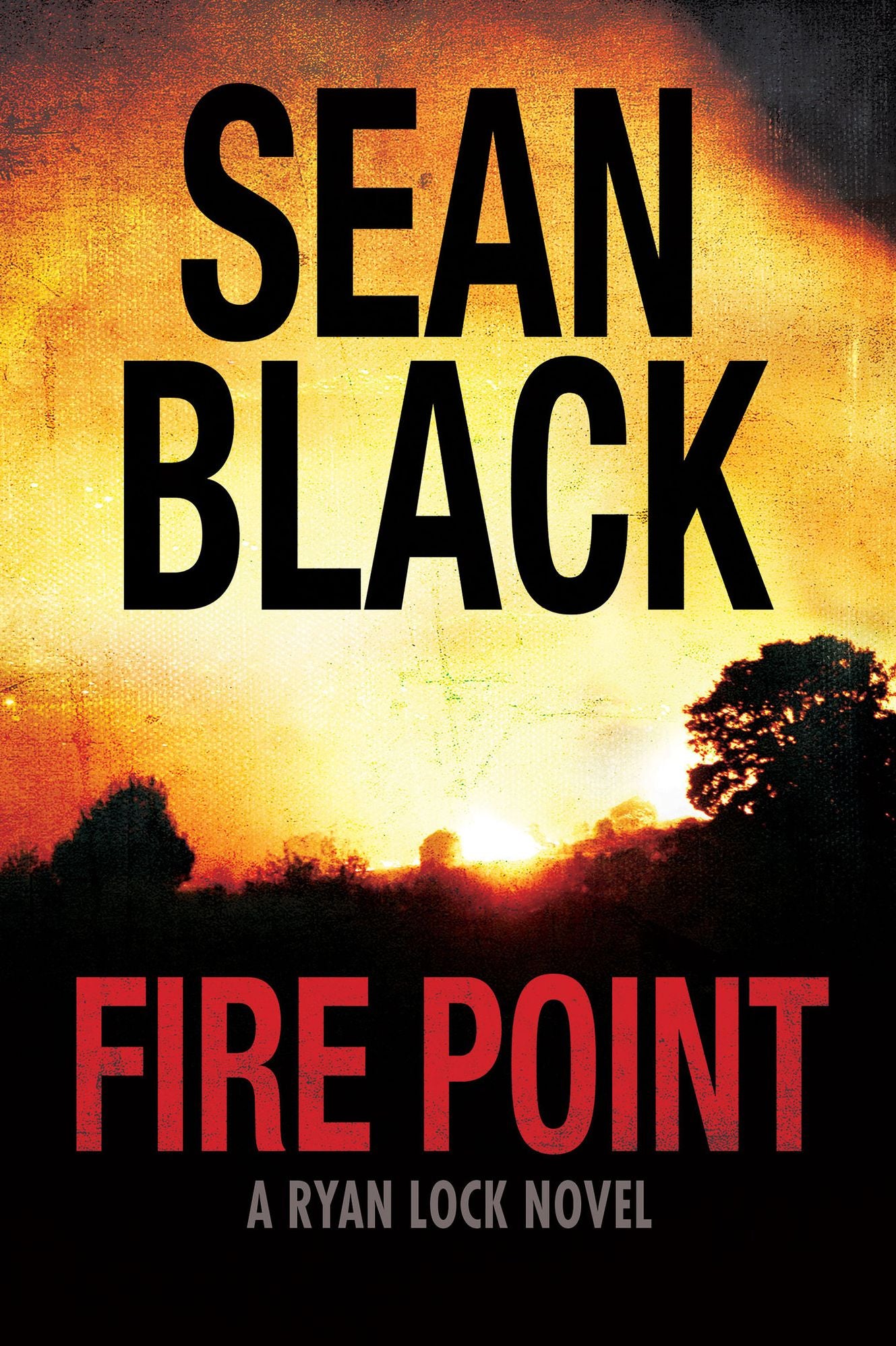 Fire Point Ryan Lock #6
