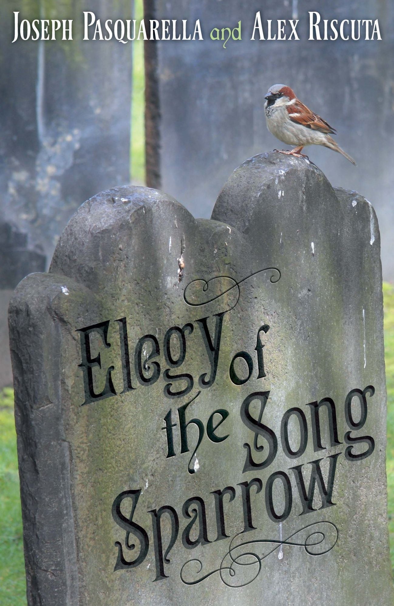 Elegy of the Song Sparrow