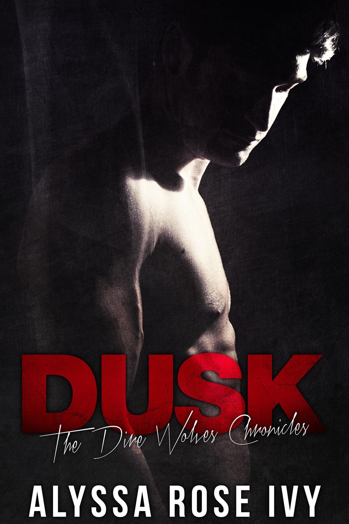 Dusk (The Dire Wolves Chronicles #2)