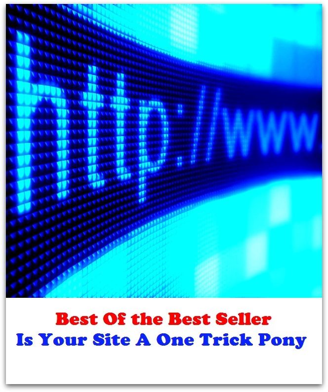 Best of the best sellers Is Your Site A One Trick Pony ( online marketing, computer, hardware, blog, frequency, laptop, web, net, mobile, broadband, wifi, internet, bluetooth, wireless, e mail, download, up load, personal area network )