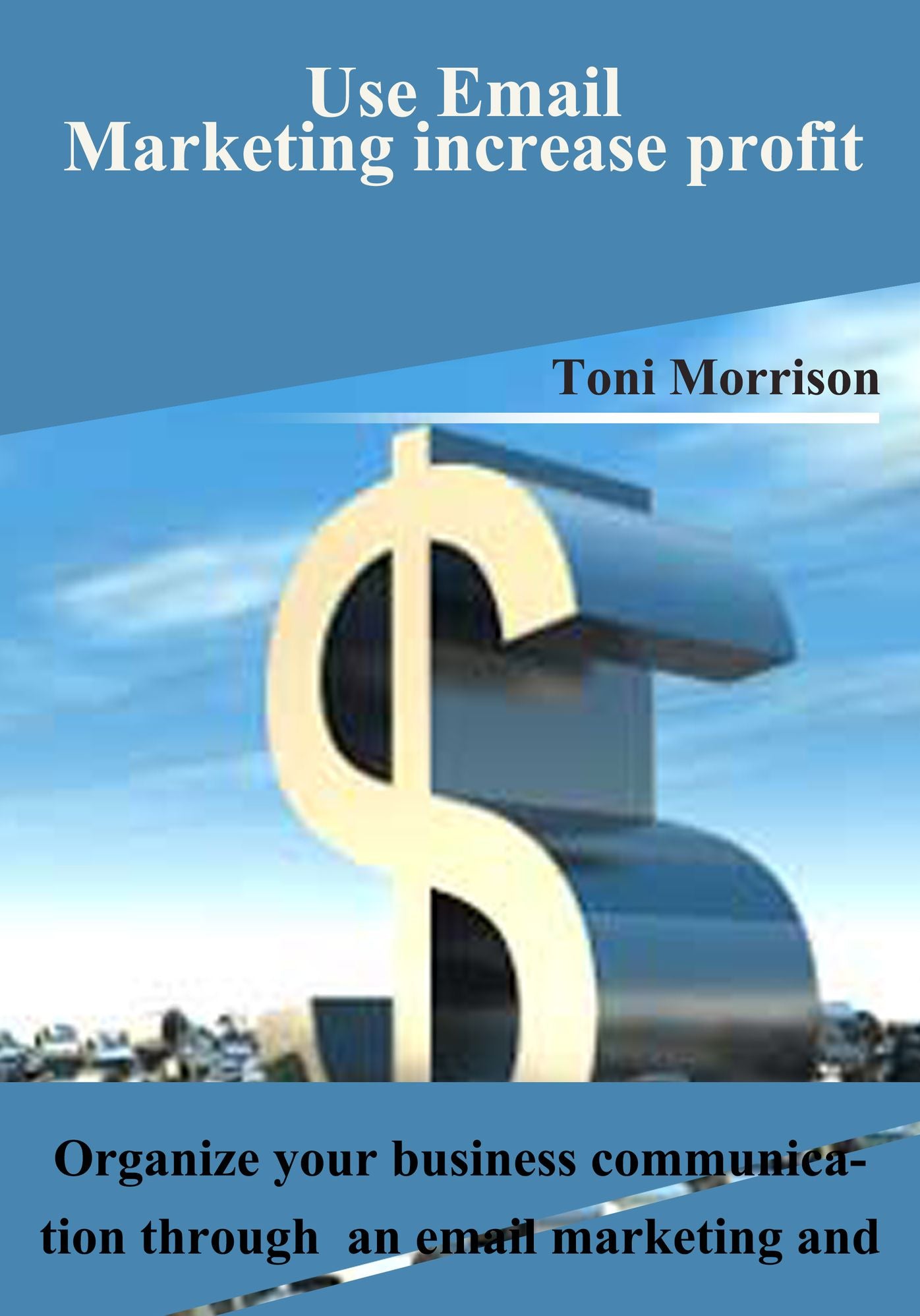 Use Email Marketing increase profit