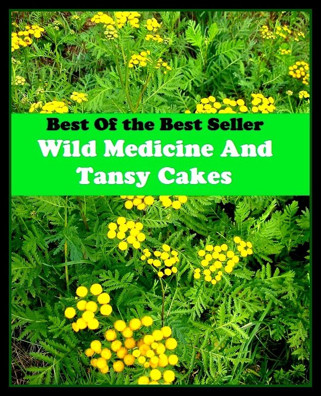 Best of the Best Sellers Wild Medicine And Tansy Cakes (pharmaceutical, medication, antibiotic, cure, remedy, cure, prescription, pill, wonder drug, penicillin)