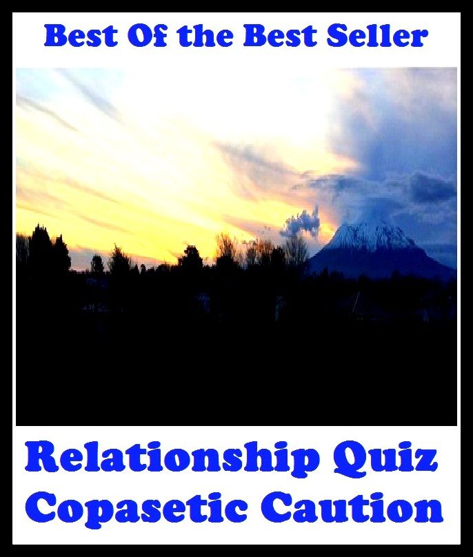 Best of the best sellers Relationship Quiz Copasetic Caution ( essay, paper, thesis, dissertation, composition, article, treatise, theory, idea, hypothesis )
