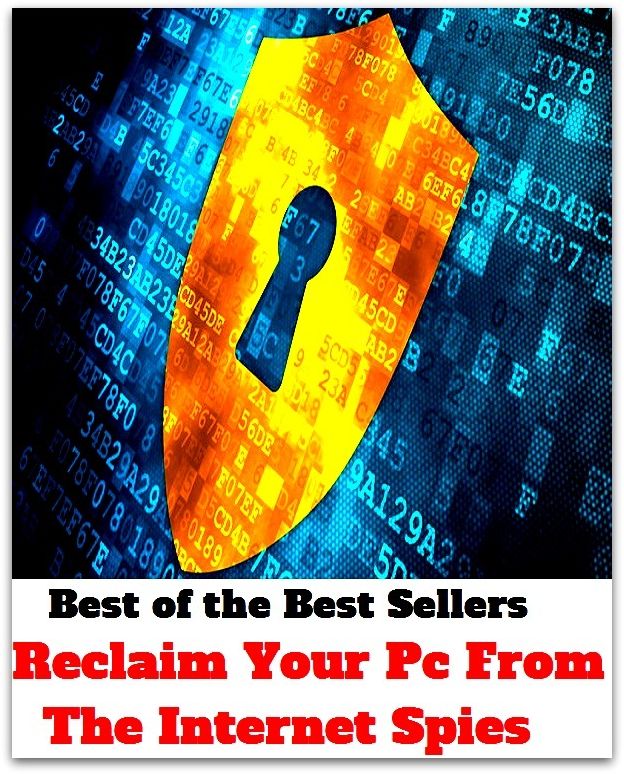 Best of the Best Sellers Reclaim Your Pc From The Internet Spies ( fake, mesh, net, plexus, web, snare, internet, computer, research, calculating machine, electronics, online, work at home mom, work at home, earn )