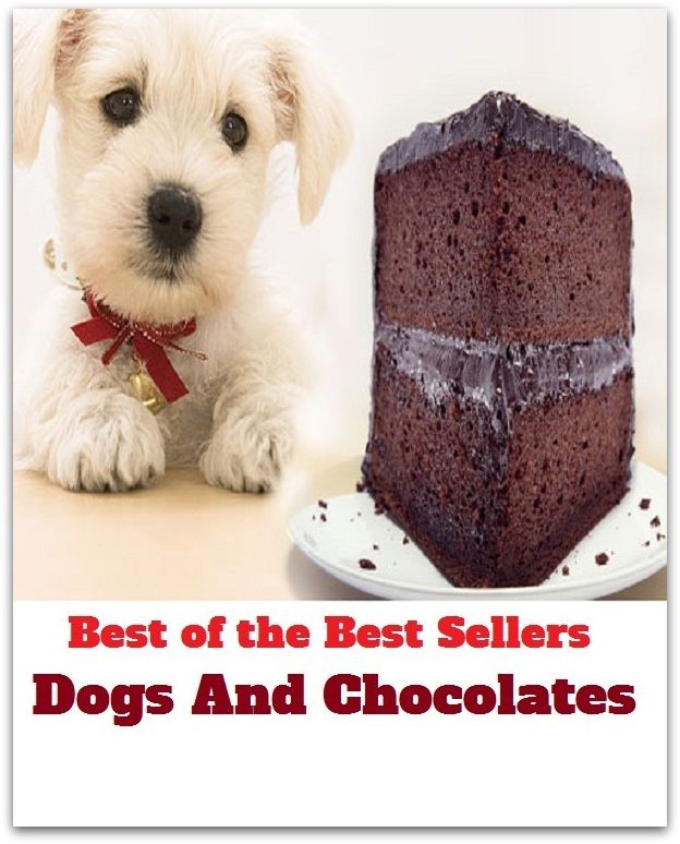 Best of the Best Sellers Dogs And Chocolates (Dorri, Dorri-sangria languages, dog rib, dogs, dogs age, dogs bollocks, dogs breakfast, dogs dinner, dogs in warfare, dogs letter)