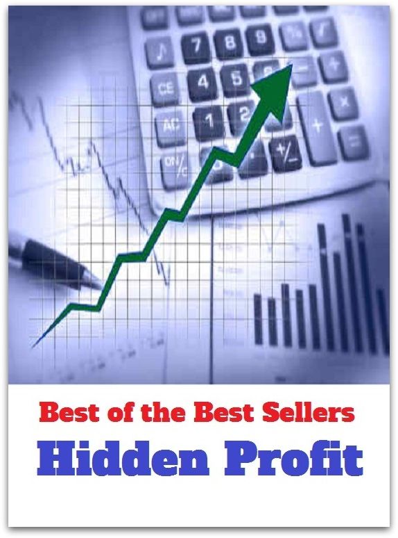 Best of the Best Sellers Hidden Profit (hidden camera, hidden city entertainment, hidden city games, hidden flag, hidden in plain sight, hidden reserve, hidden tax, hidden variable, hidden, hidden)
