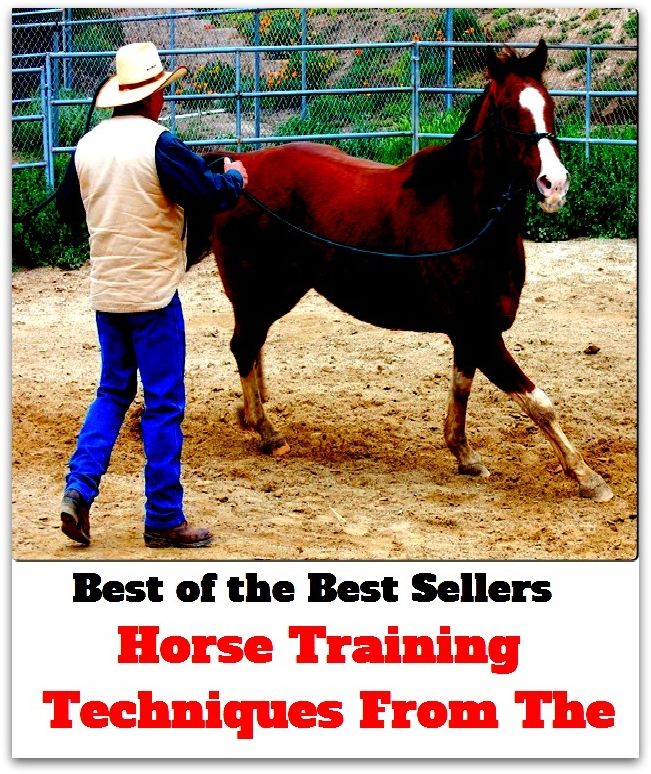 Best of the Best Sellers Horse Training Techniques From The (horse tick, horse trade, horse trader, horse trading, horse trailer, horse whip, horse whisperer, horse wrangler, horse's foot, horse's hoof)