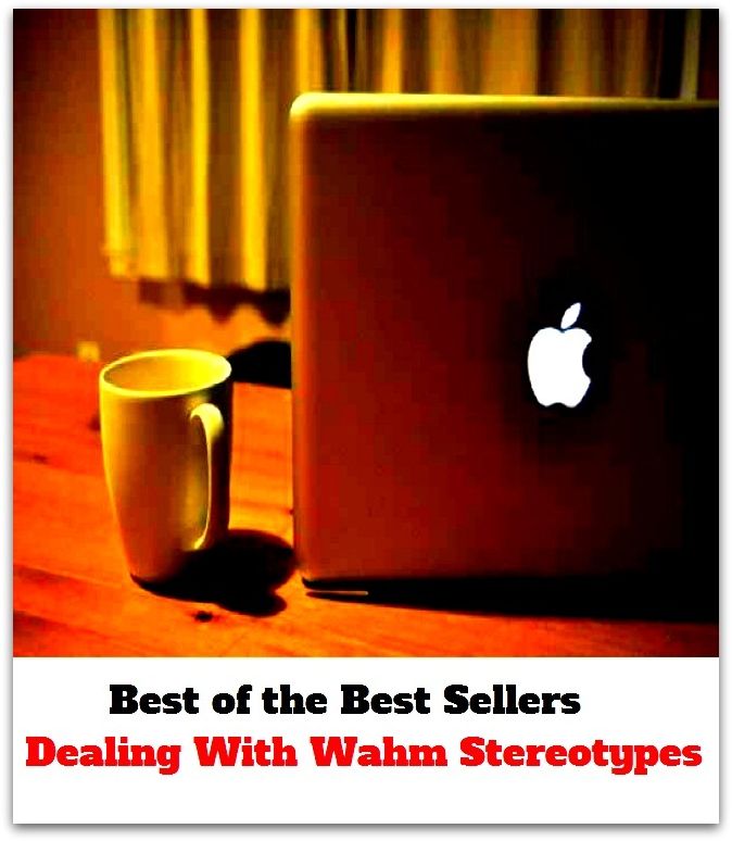 Best of the Best Sellers Dealing With Wahm Stereotypes ( fake, mesh, net, plexus, web, snare, internet, research, calculating machine, electronics, online, work at home mom, work at home, earn, computer )