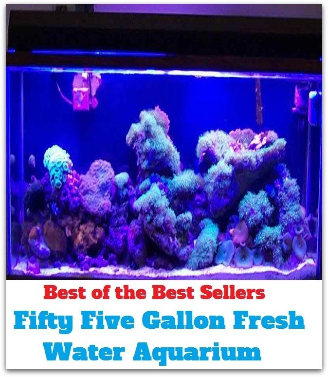 Crafts & Hobbies: Best of the Best Sellers Fifty Five Gallon Fresh Water Aquarium ( April showers, yoke, Davy, whey, Dylan, wetting-out agent, Neptune, wet down, Nereus, wet )