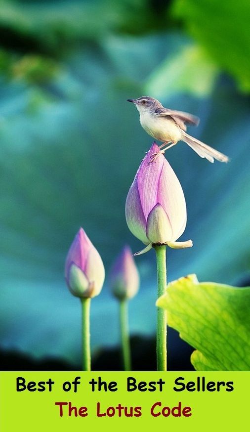 Best of the Best Sellers	The Lotus Code(water lily, lotus, lotos)