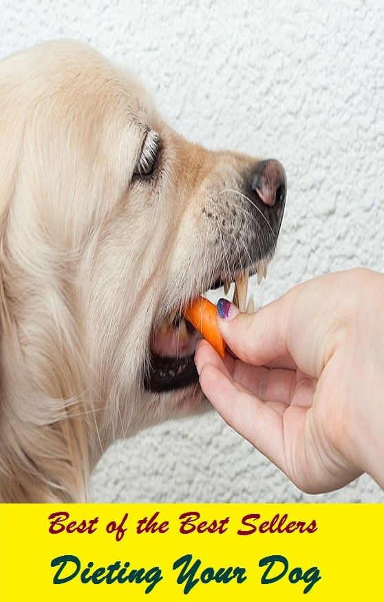 Best of the Best Sellers	Dieting Your Dog(ingestion, diet, repast,undercut)