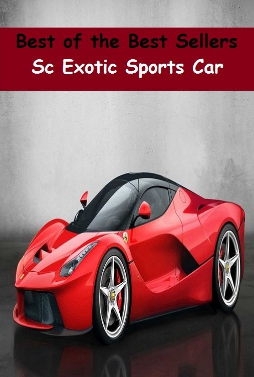 sports: 99 Cent Best Seller Sc Exotic Sports Car (Convertible,two-seater,coupe,sport car,,bucket of bolts,bug,buggy,clunker,compact,crate,gas guzzler,go-cart,hardtop,hatchback)