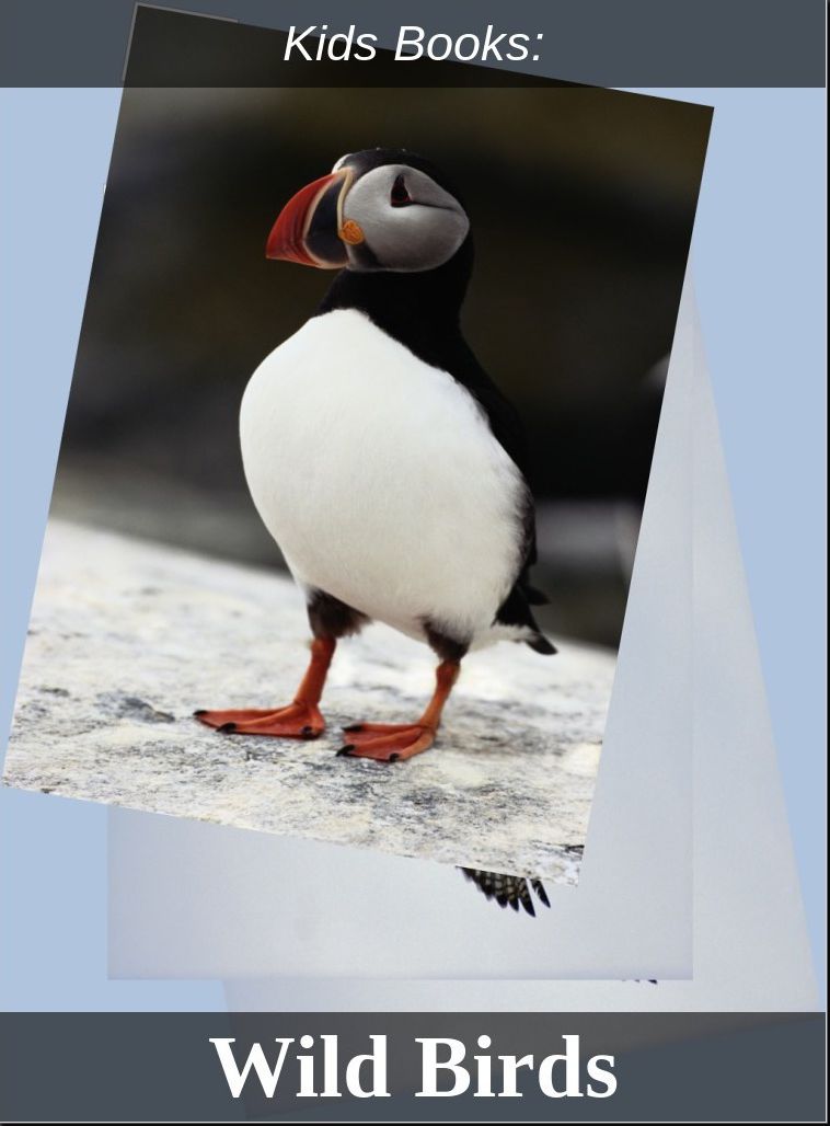 Children's Books: #164 ( Wildlife, Nature, Sea Life, Wild Birds, Corals, Tigers, Lions, Bears, Elephants, Fish, Sharks, Marine Life, Endangered, Conservation, Ecology, Substainable Living, Tree, Flower )