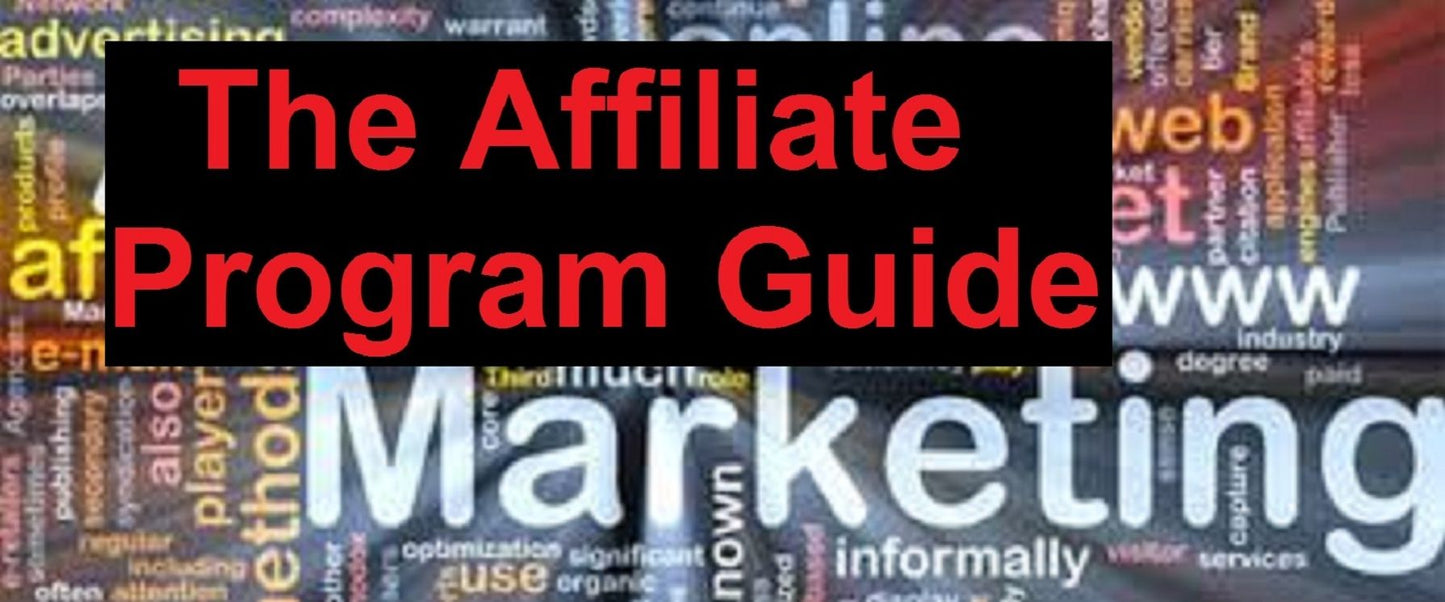 The Affiliate Program Guide (Start Making Money Now)