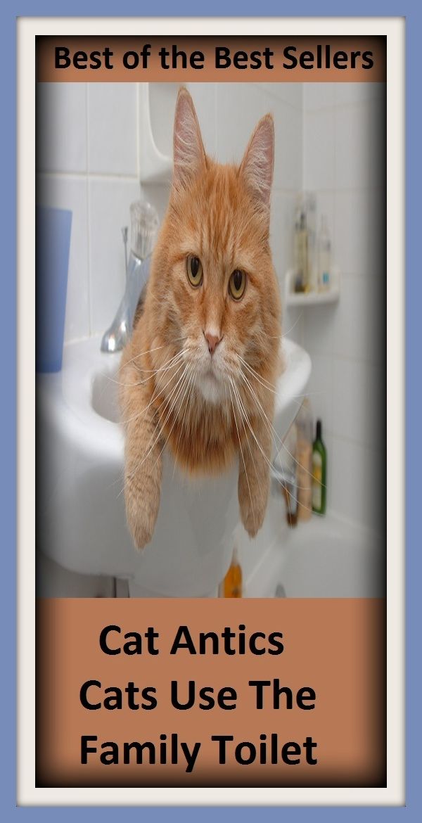 Best of the Best Sellers Cat Antics Cats Use The Family Toilet ( silversmiths, cat, cat and dog life, cat and mouse, cat and rat, cat bear, cat box, cat burglar, cat chow, cat cracker)