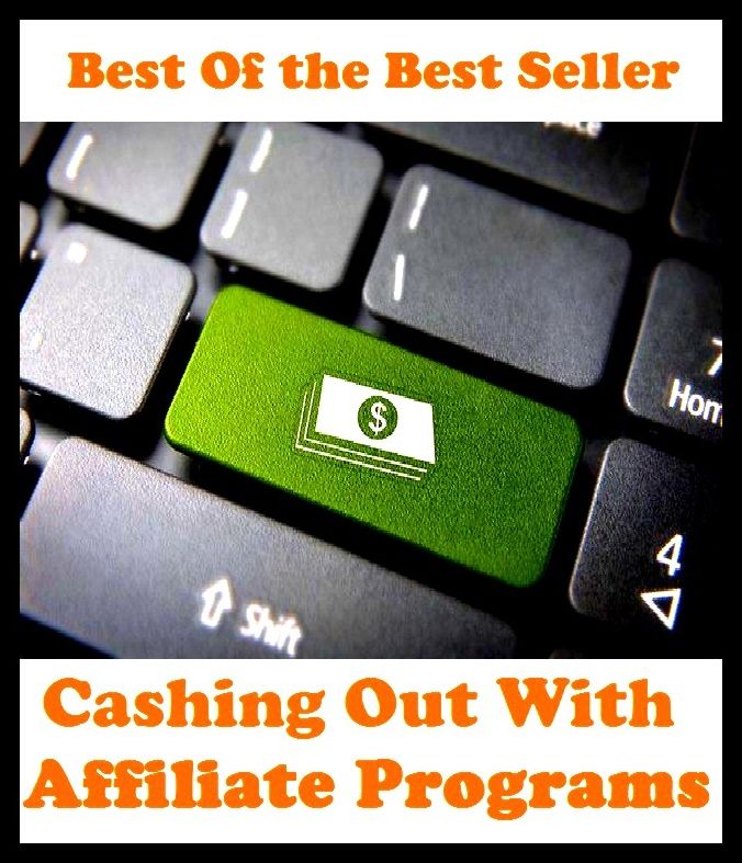 Best of the best sellers Cashin Out With Affiliate Programs ( online marketing, computer, hardware, blog, frequency, laptop, web, net, mobile, broadband, wifi, internet, bluetooth, wireless, e mail, download, up load, personal area network )