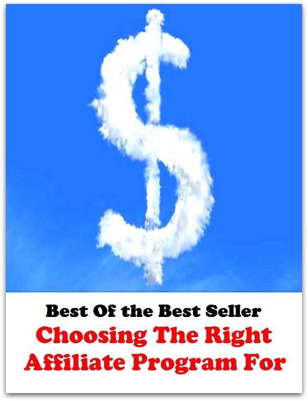 Best of the best sellers Choosing The Right Affiliate Program For ( online marketing, computer, hardware, blog, frequency, laptop, web, net, mobile, broadband, wifi, internet, bluetooth, wireless, e mail, download, up load )