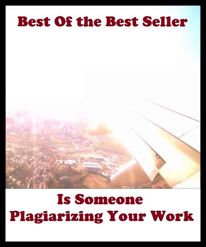 Best of the best sellers Is Someone Plagiarizing Your Work ( publisher, author, writer, novelist, biographer, dramatist, creator, instigator, maker, inventor, publish )