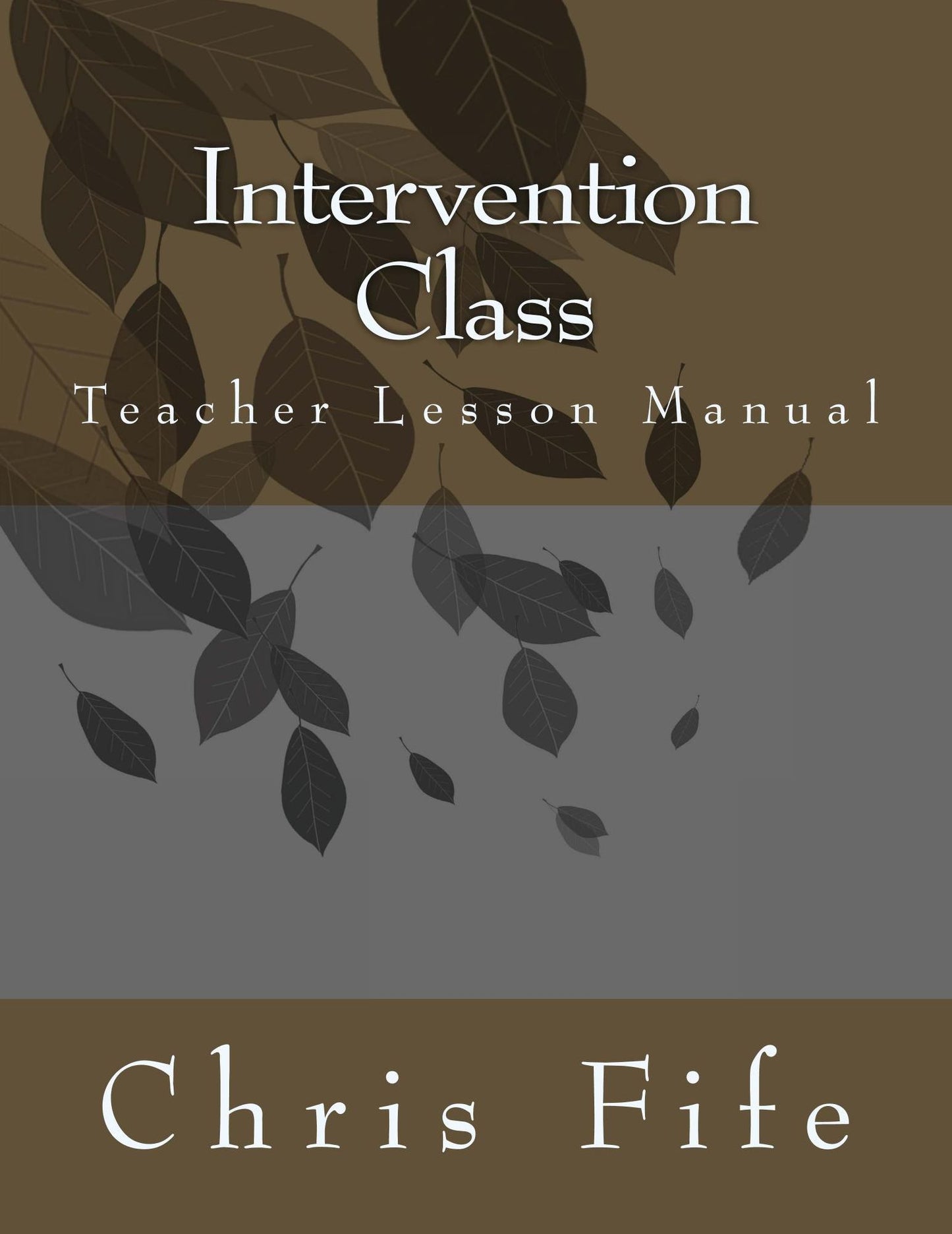 Intervention Class Teacher