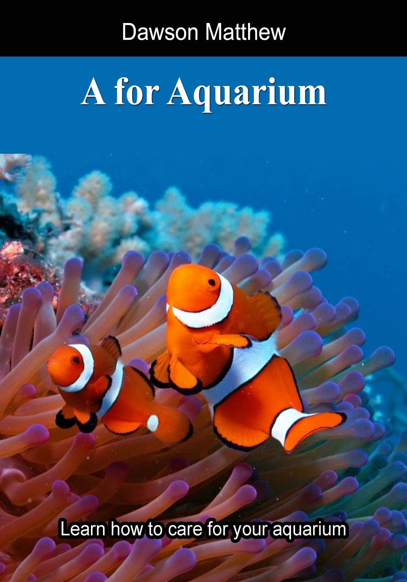A for Aquarium
