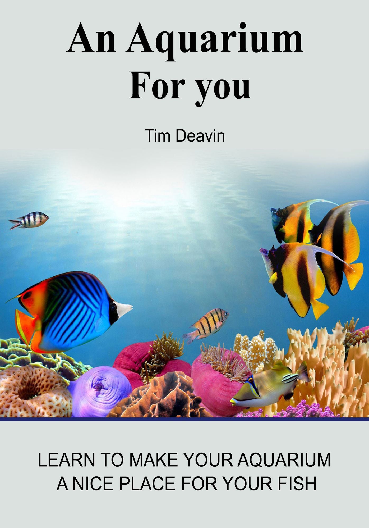 An Aquarium fOR you