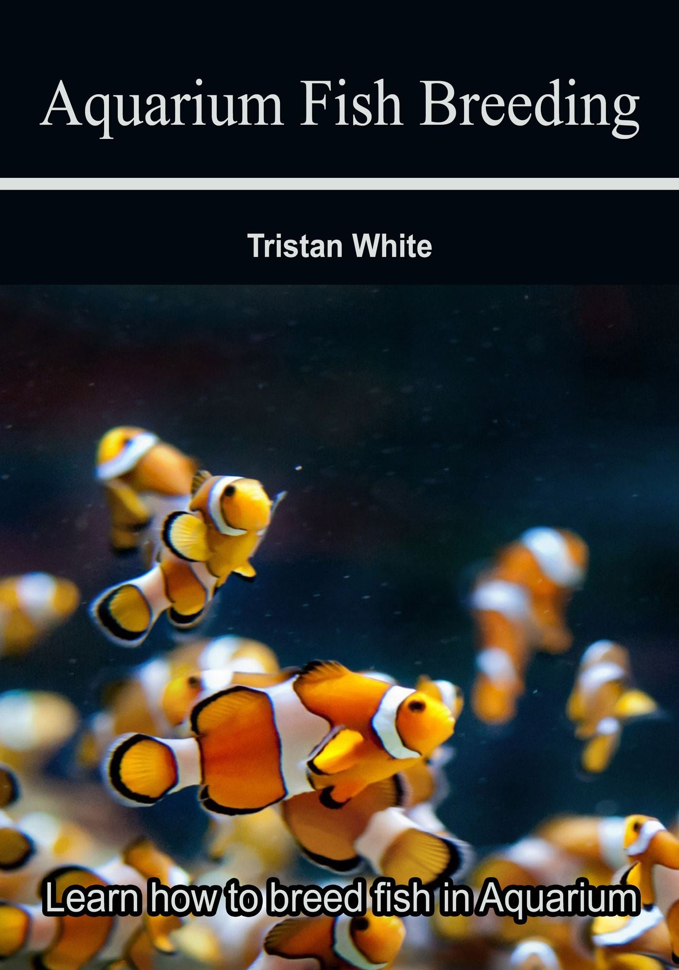 Aquarium Fish Breeding