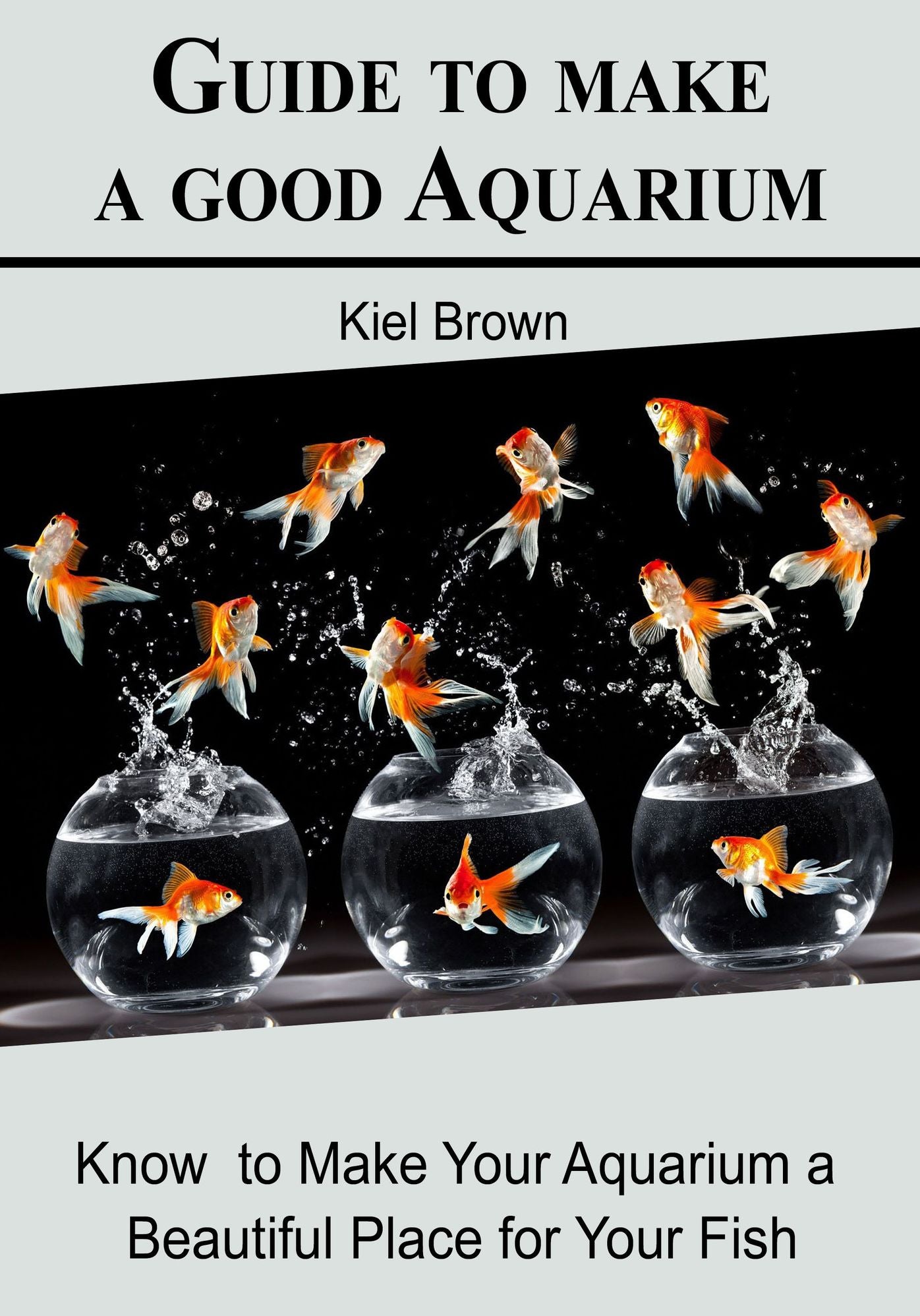 Guide to make a good Aquarium